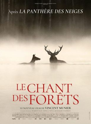 Séance Famille - Le Chant des Forêts